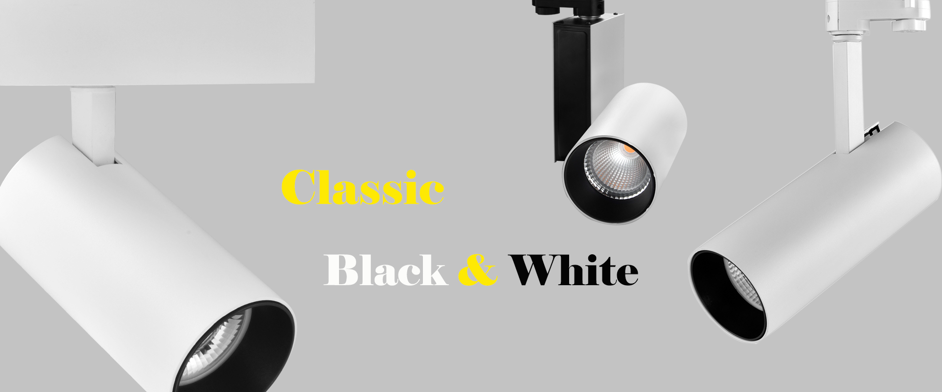 NTL track light 