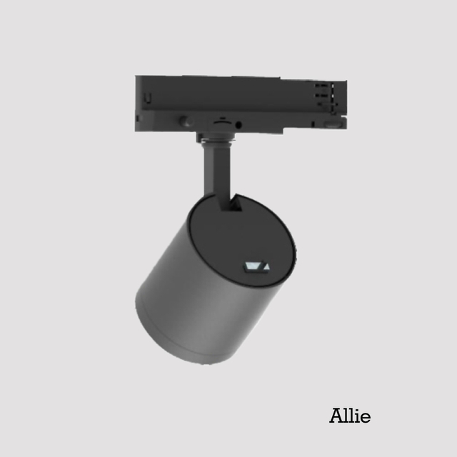 Integrierter Schienenadapter von Allie, LED-Leuchten, CRI 90+, warmweiß, verstellbarer Neigungswinkel, Schienenbeleuchtung